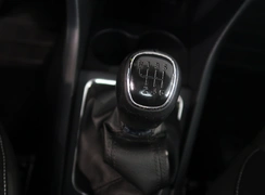 Rapid